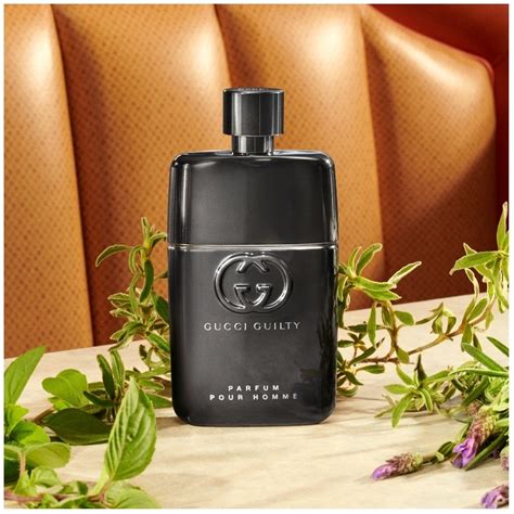 gucci hombre perfume|gucci guilty pour homme fragrantica.